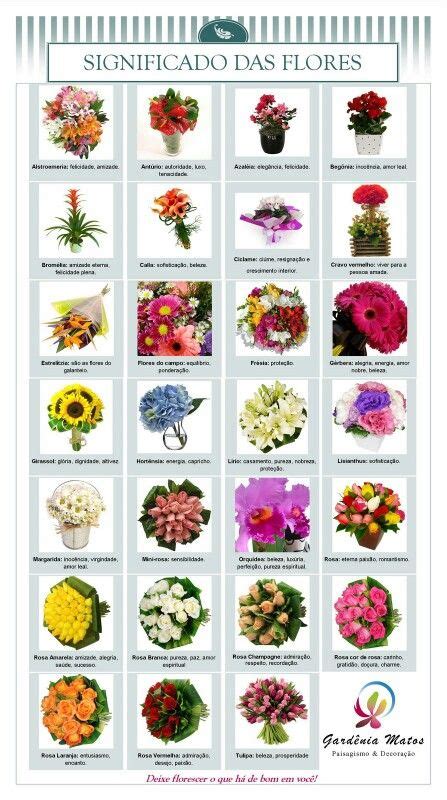 Top 190 Imagenes De Flores Y Su Significado Anmbmx