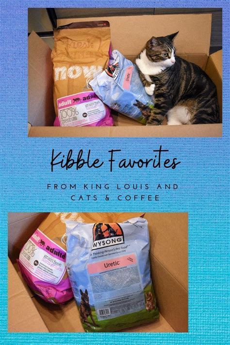 In plenty of cases, cat food includes fiber to help with digestive functions and benefit the stool quality of cats who might otherwise have digestive upset. Cat Mom Life: High Quality Dry Food | Pet supply stores ...