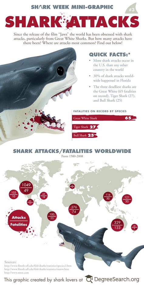 Shark Attack Infographics Why You Dont Need To Be Afraid Of Sharks