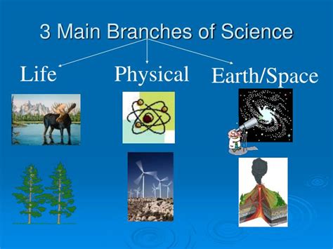 Ppt The Branches Of Science Powerpoint Presentation Id2979975