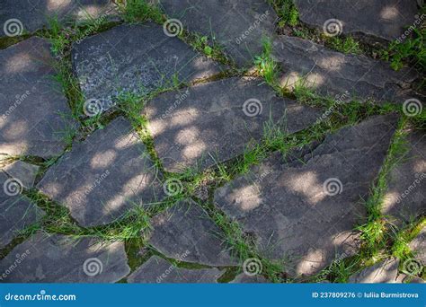 Natural Textured Unstructured Stone Tiled Pavement With Grass Growing