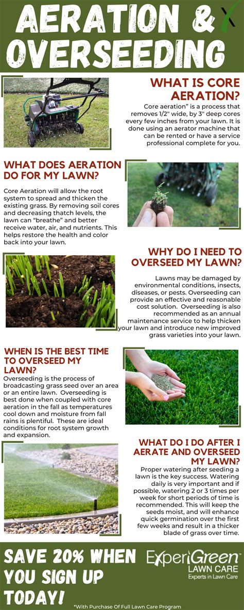 Aeration And Overseeding 101 Fall Lawn Care Overseeding Overseeding Lawn