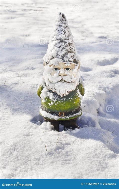 Gnome With Snow Covering His Body Stock Image Image Of Dwarf Winter