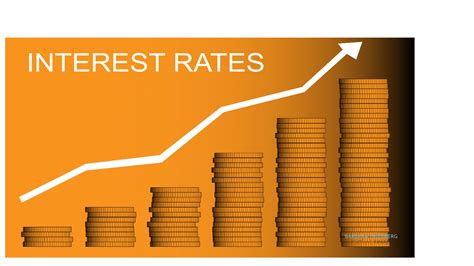 Best Investments In A Rising Interest Rate Environment