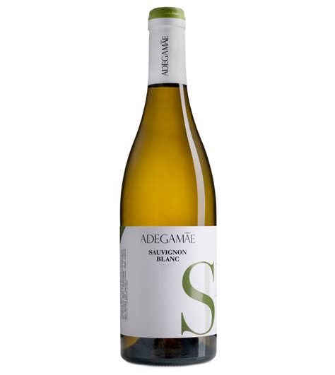 Comprar Adega Mãe Sauvignon Blanc 2019 na Enovinho Vinhos Vinho