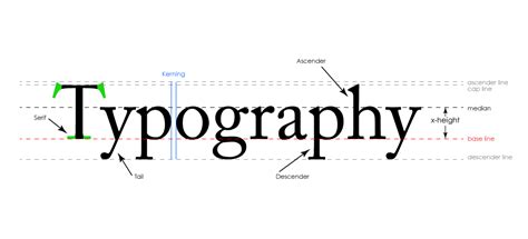 Infographic 16 Different Elements Of Typography Anatomy Of Images