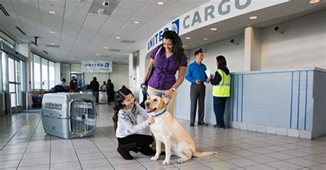 Any child under the age of 15 must be in the same pets are allowed in the cabin on all domestic frontier flights, and on international flights to/from the dominican republic and mexico. Is it Safe to Transport Pets on Airplanes? A Fact-Based ...
