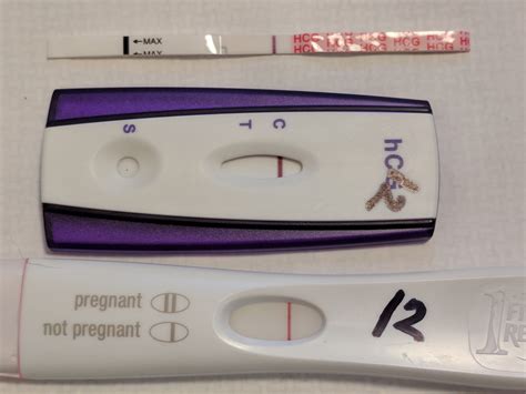 12 Dpo Dollar Tree Pregnancy Test Pregnancy Test
