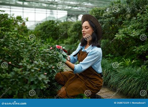 Young Woman Gardener Cutting Flower Buds Working In Greenhouse Stock
