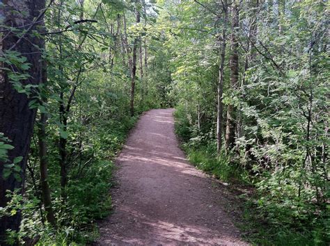 5 Excellent Hiking Trails In Bozeman Life In Montana