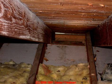 Cleaning off the mold on the surface of the ceiling should be pretty simple. Attic Mold: Where to Look for Mold in Attics