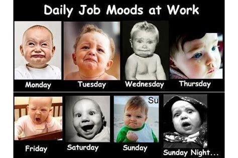 26 Work Memes Monday Factory Memes