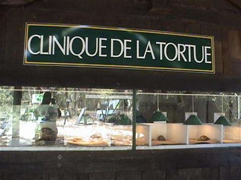 We did not find results for: Village Des Tortues : Parc Animalier Gonfaron 83590 ...
