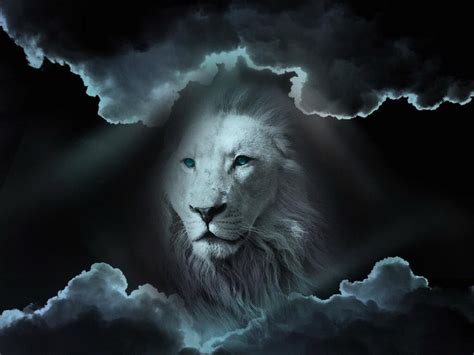 Lion In The Clouds Lion Of Judah Pinterest