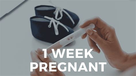 1 Week Pregnant What To Expect In The 1st Week Of Pregnancy