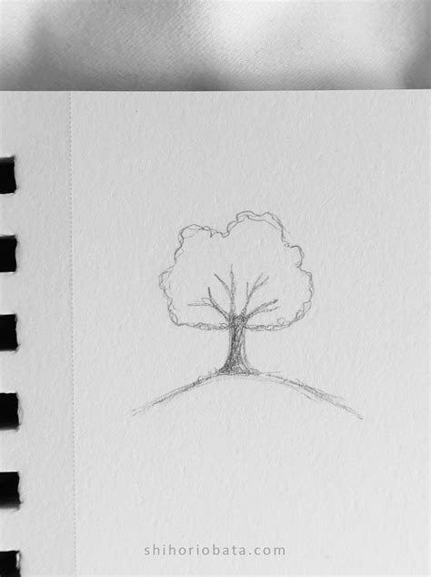 20 Easy Tree Drawing Ideas