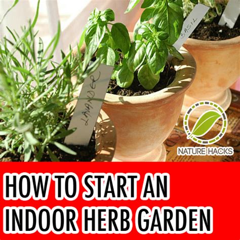 How To Start Indoor Herb Garden Large And Beautiful Photos Photo To