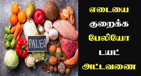 Paleo Diet Food List Pdf In Tamil Lynell Vaught