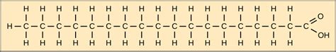 Lipids · Biology