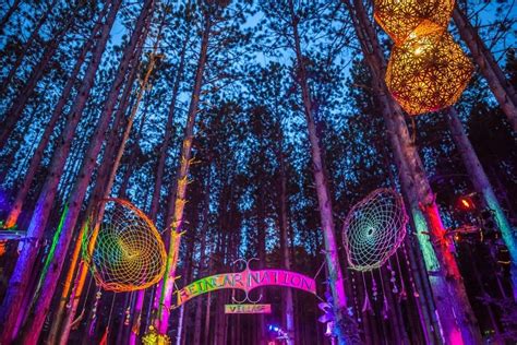 History Electric Forest 2017 In 2020 Forest Festival Electric