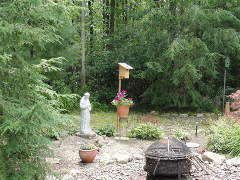 Hometalk Ideas On Shade Plants Garden For Wooded And Wet