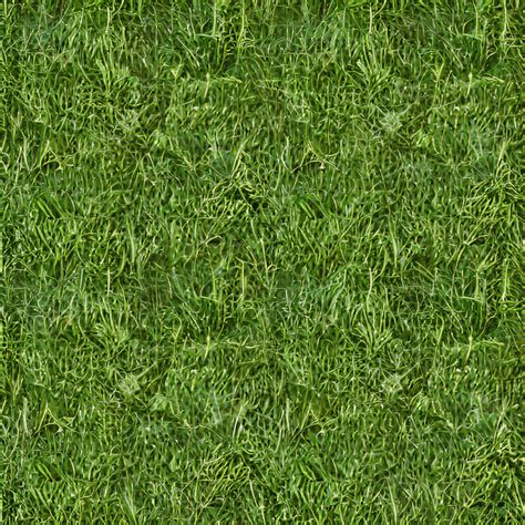 Ground Grass Texture · Creative Fabrica