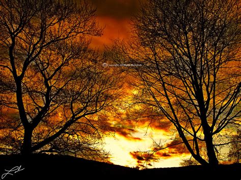 Autumn Night Sky ~ Autumn Posters Picture