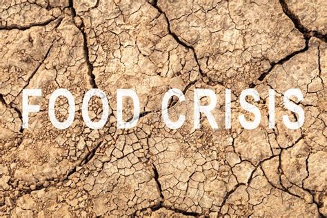 Food Crisis Failed Grain Crops Bread Shortage World Hunger Drought