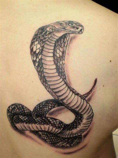 Snake Tattoos 5 Latest Tattoos Trendy Tattoos New Tattoos Tattoos