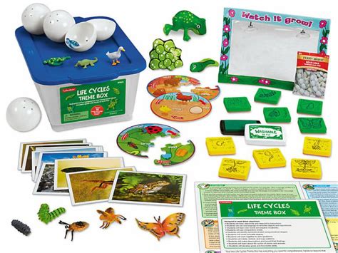 Life Cycles Theme Box Brite Idea Educational Toy Specialists