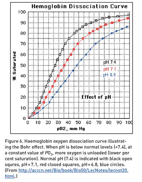 Hemoglobin Oxygen Dissociation Curve Illustrating The B Normal Levels