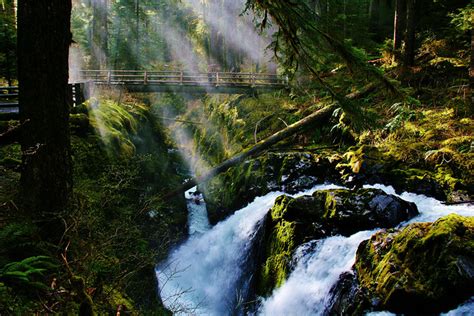 Protecting the Olympic Peninsula: The Future of the Wild Olympics Act ...