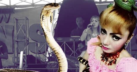 Snake Bites Female Singer And She Dies On Stage Greenbarge Reporters