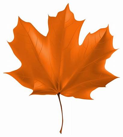 Leaf Autumn Fall Clipart Leaves Clip Yopriceville