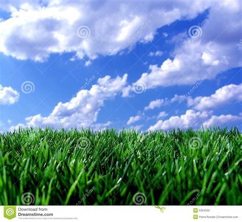 Green Grass Under Blue Sky Stock Image Image Of Spring