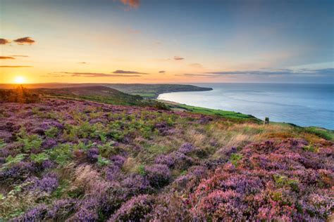 An Ultimate Guide To The North York Moors Gorgeous Cottages Yorkshire