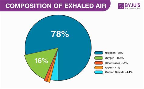 Gasses We Breathe In And Breathe Out The Composition Of Air