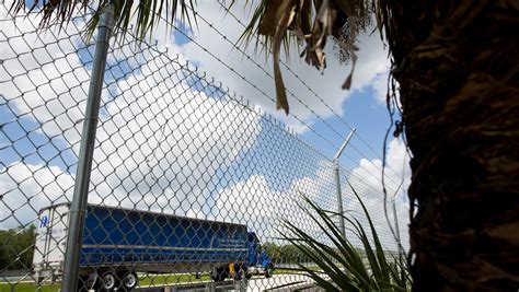 Fence Raised Along Alligator Alley To Protect Florida Panthers Drivers
