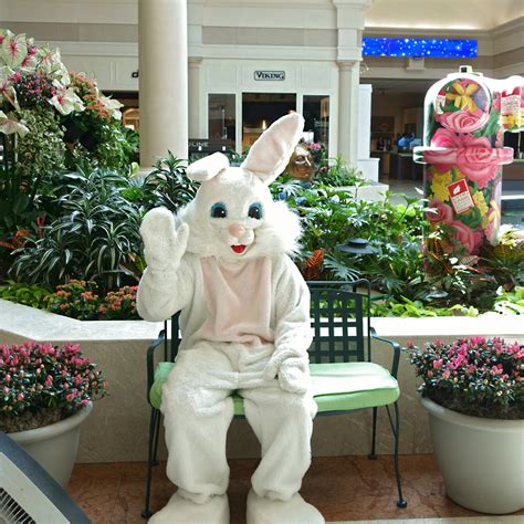 Well, the easter bunny is not inherent to christianity or, for that matter, to the bible. Visit the Easter Bunny This Year at Abt! | The Bolt