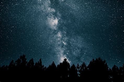 Wallpaper Starry Night Night Sky Stars Space Galaxy Silhouette