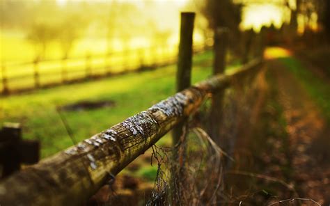 Depth Of Field Fence Nature Sunlight Wallpapers Hd Desktop And