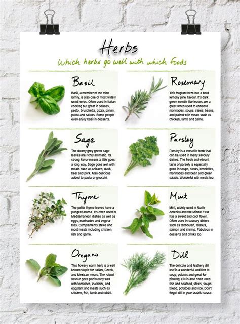 All Herbs And Their Uses