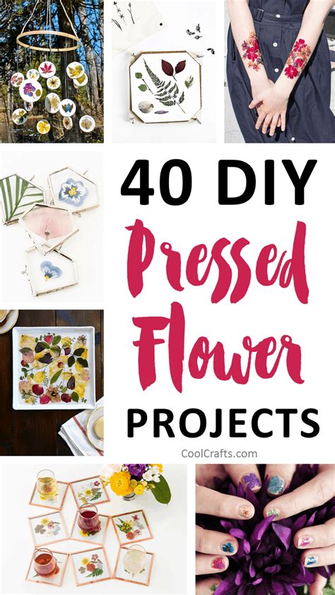 40 Stunning Pressed Flower Art Ideas Cool Crafts 2022