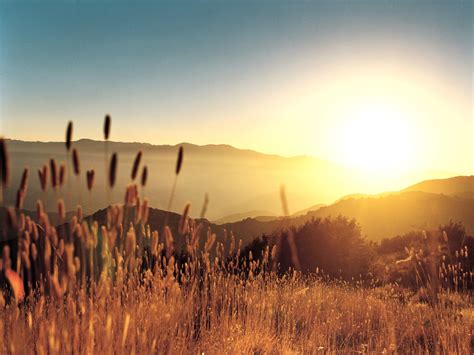 Wallpaper Sunlight Landscape Mountains Sunset Hill Nature Field