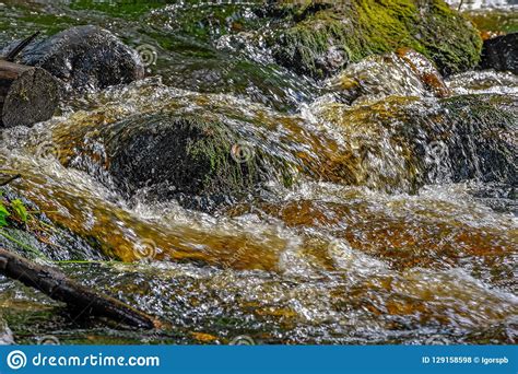 Small Forest River Stock Photo Image Of Brown Landmark 129158598