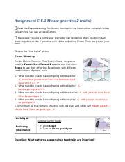 Read free mouse genetics gizmo answer key. 5-1MouseGenetics2SE - Student Exploration Mouse Genetics ...