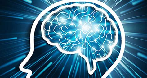 5 Tips To Improve Memory And Maximizing Brain Power