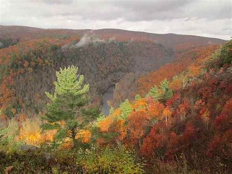 Pennsylvania Grand Canyon Todays Top Fall Foliage Spot In