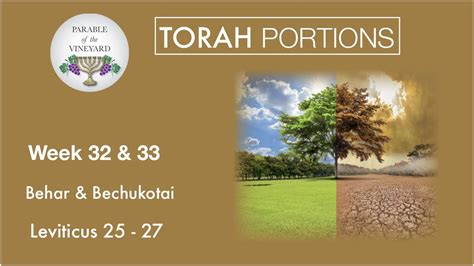 Torah Portions Week 32 And 33 Behar And Bechukotai On The Mount And By