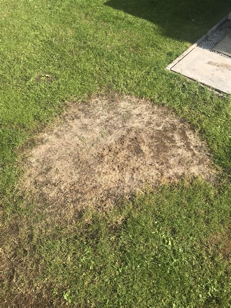 My Lawn Has A Massive Dead Patch Can Anyone Offer Advice On How To